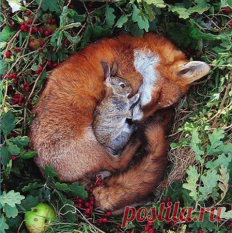 Мой Мир@Mail.Ru