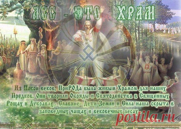 Новости