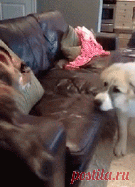 GOOFY GIFS TO MAKE YOU GRIN | CutesyPooh