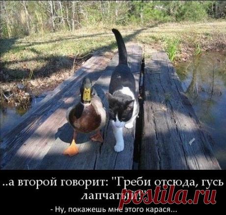 Лилия Советкина | ВКонтакте