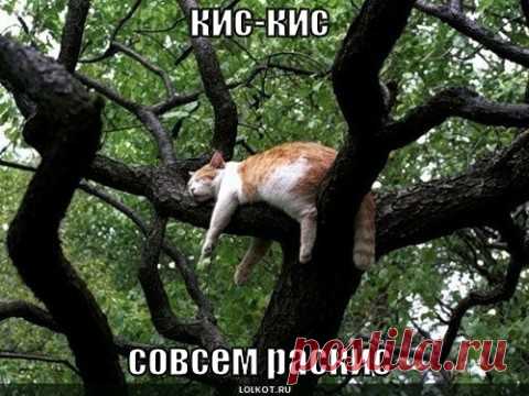 притомился...