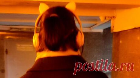 Год тигра ещё официально не настал, но кисы уже в городе!