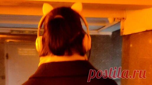 Год тигра ещё официально не настал, но кисы уже в городе!