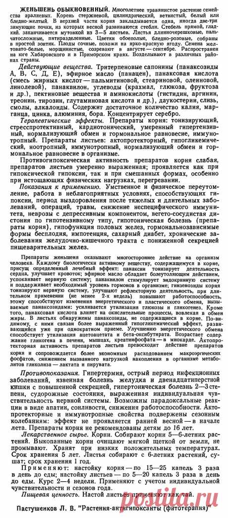 Женьшень обыкновенный