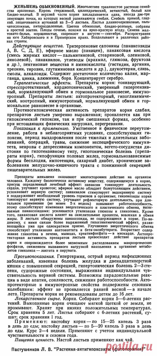 Женьшень обыкновенный