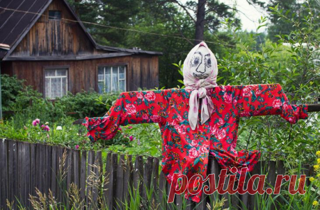 Подборка самых необычных, красивых и в то же время жутких огородных пугал современности