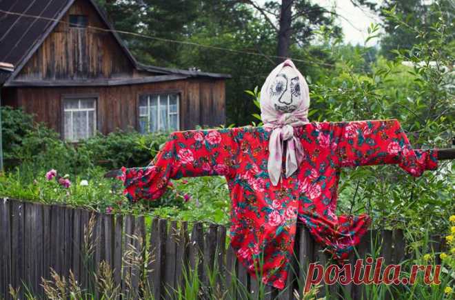 Подборка самых необычных, красивых и в то же время жутких огородных пугал современности