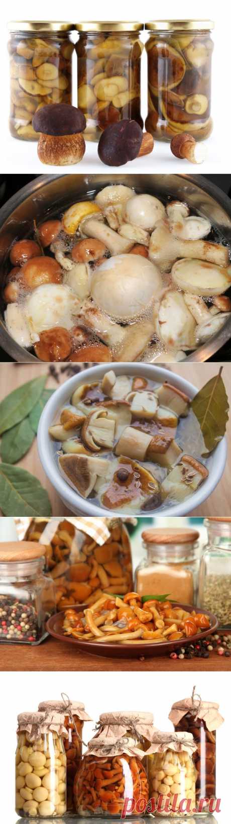 Маринованные грибочки на зиму | Дачный участок