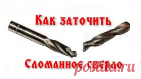 Статьи, новости и видео от популярных блогеров и СМИ | Будь в теме — будь в Дзене