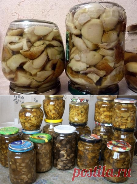 Одноклассники