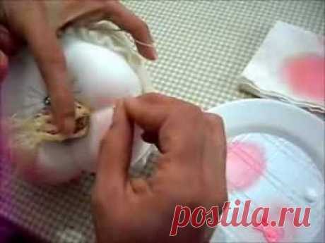 coneja bolsera - YouTube