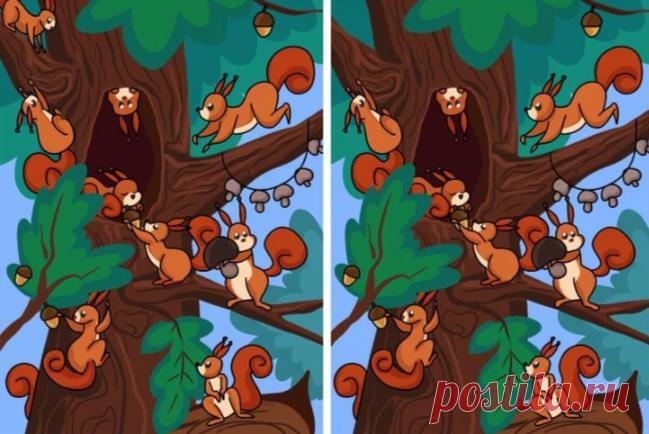 На картинках имеются отличия, которые мало кто замечает. Попробуйте найти? Тренировка зрения
Приветствую тебя, дорогой читатель нашего интеллектуального канала «Ваши любимые тесты» У всех людей по-разному развита внимательность и наблюдательность. Кто-то с лёгкостью запоминает имена, лица и номера своих знакомых. Другие же с трудом запоминают казалось бы простые вещи. И не помнят к примеру куда...
Читай дальше на сайте. Жми подробнее ➡