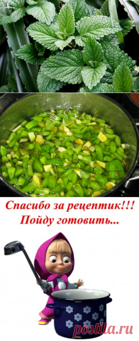 Варенье из мяты и варенье из мяты с киви и апельсином.