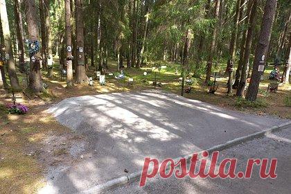 Раскрыта судьба пропавшего в Петербурге памятника полякам. Пропавший в Санкт-Петербурге памятник репрессированным полякам отправлен на реставрацию после нападения вандалов, об этом сообщает ТАСС со ссылкой на источник в Смольном. Ранее генеральный консул Польши в Петербурге Гжегож Слюбовски заявил, что памятник полякам пропал.