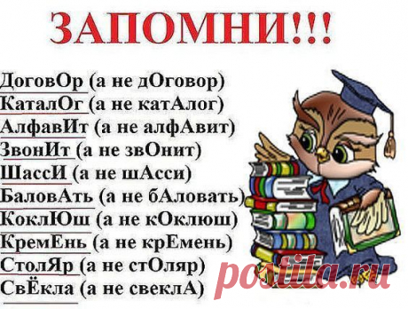 Изображение пина-истории