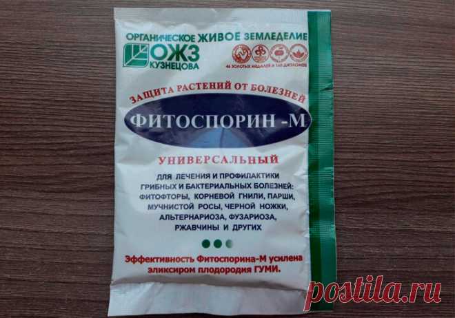 Как я развожу Фитоспорин и получаю намного Большую эффективность | Все о цветоводстве | Яндекс Дзен