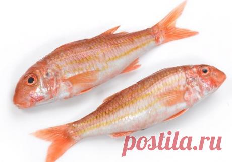 Как вкусно приготовить рыбку барабульку? — Вкусные рецепты