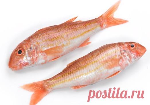 Как вкусно приготовить рыбку барабульку? — Вкусные рецепты