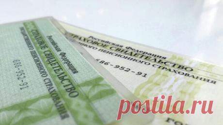 В Соцфонде рассказали, что делать с карточкой СНИЛС старого образца