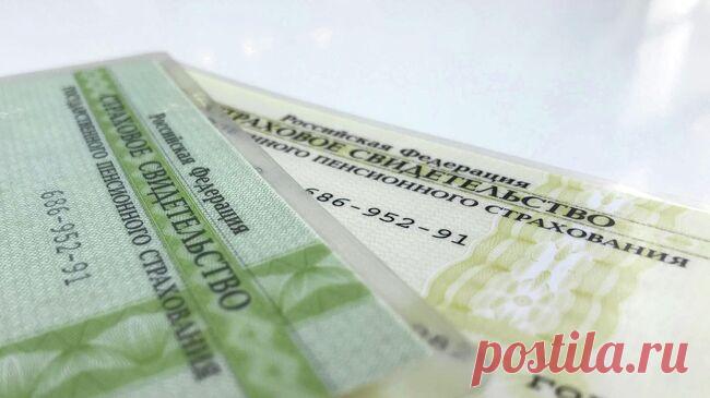 В Соцфонде рассказали, что делать с карточкой СНИЛС старого образца