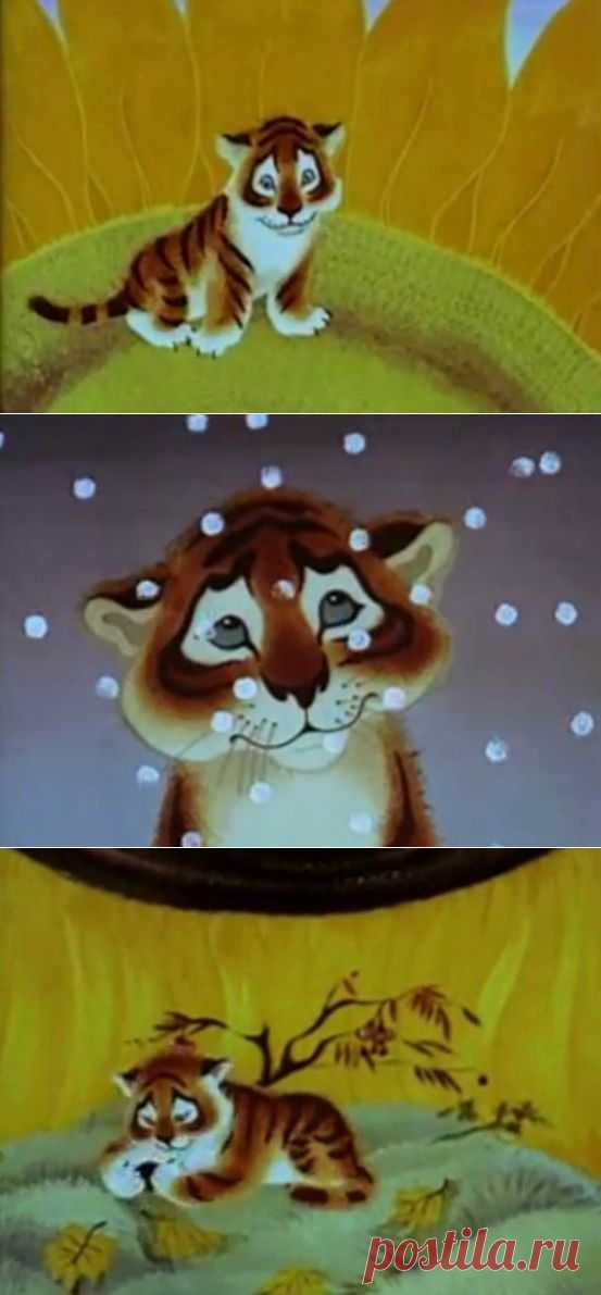 Тигрёнок на подсолнухе | На краю земли
Сказка Уссурийская - Юрий Коваль.

На Дальнем-придальнем Востоке, течёт река Уссури, а вокруг неё поднимается тайга Уссурийская, по которой бродят звери уссурийские, там растут кедры уссурийские, шишки на них уссурийские, даже снег там лежит уссурийский.

Студия "Союзмультфильм" 1981г.
мультфильм по сценарию Юрия Коваля, режиссёр Леонид Носырев,  рассказывает Евгений Леонов