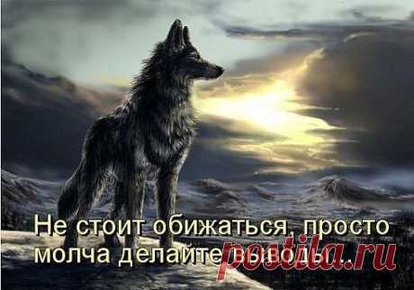 (57) Одноклассники
