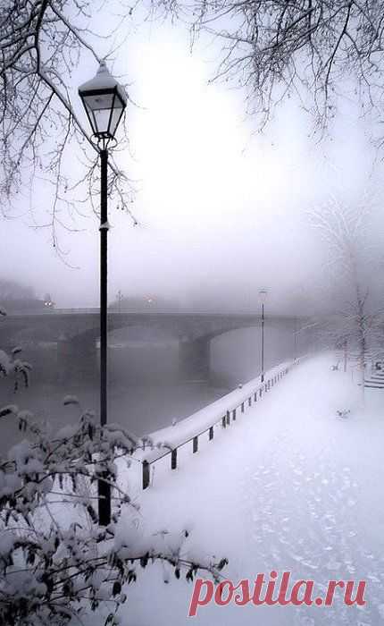 Paris Winter Wonderland.