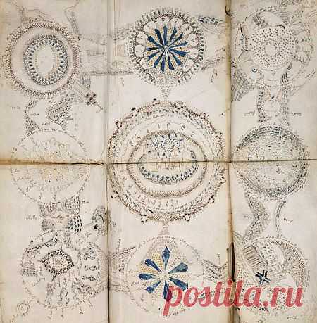 Манускрипт Войнича .