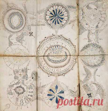 Манускрипт Войнича .