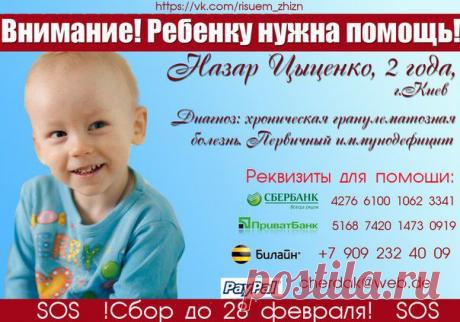 РИСУЕМ ЖИЗНЬ! Назар Цыценко. Срочный сбор!