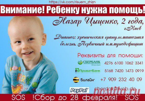 РИСУЕМ ЖИЗНЬ! Назар Цыценко. Срочный сбор!