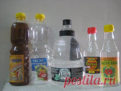 Секреты идеальных хозяек|Здоровье семьи