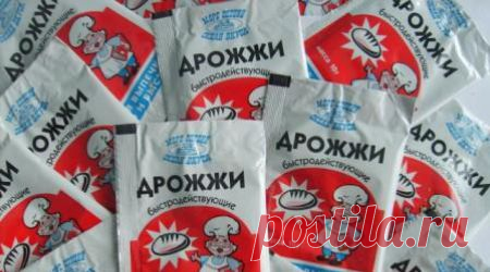Делаем ростостимулирующий раствор для растений..