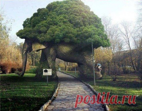 Класс