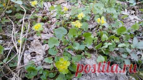 12.04.2018 Часть 4. Украина, Львовская область, город Великие Мосты. Весенняя прогулка на велосипеде.