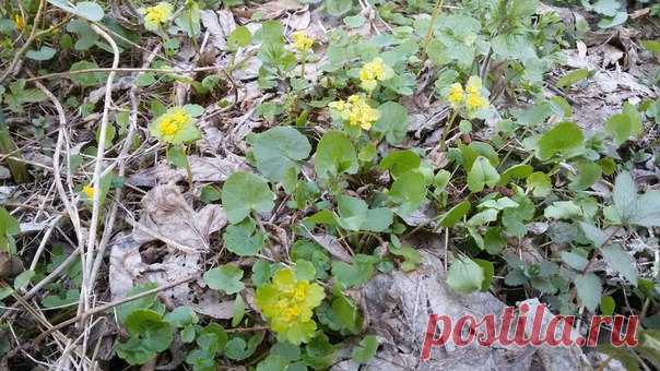 12.04.2018 Часть 4. Украина, Львовская область, город Великие Мосты. Весенняя прогулка на велосипеде.
