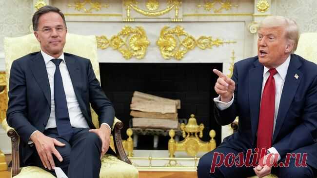 Рютте поддержал слова Трампа о необходимости сбивать российские самолеты