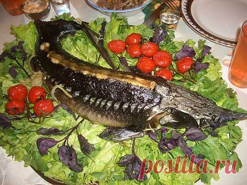 Советы по приготовлению рыбных блюд