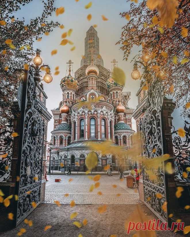 (11) Тhe beautiful world of Ludmila ( Красивият свят на Людмила )
Спас на Крови и ограда Михайловского Сада.Санкт-Петербург