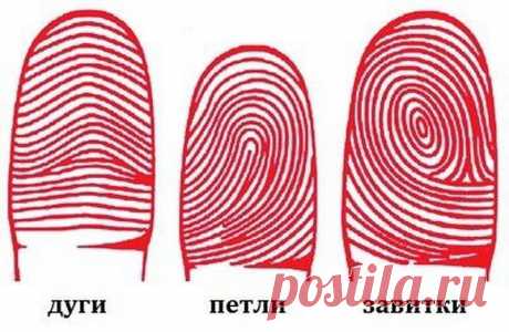 Дактилоскопия и характер. Что поведают ваши пальчики?