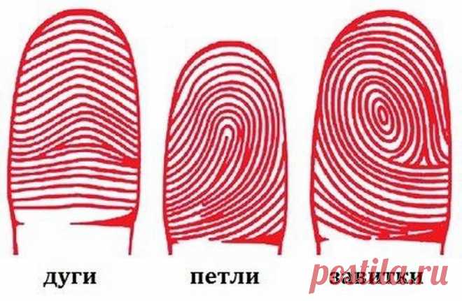 Дактилоскопия и характер. Что поведают ваши пальчики?