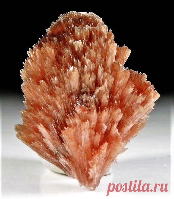 ღИнезит
Хрупкий, прозрачный минерал, имеет цвет: розово-красный, розовый, оранжево-розовый, оранжево-красно-коричневый, темно-винно-красный; со временем изменяется до рыжевато-коричневого.

Лисий хвост!