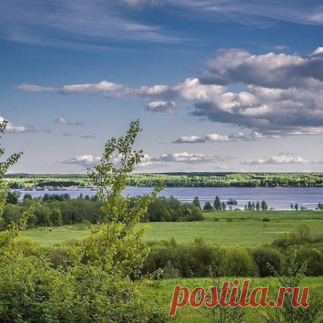 Вид на Волгу. Костромская область.
Большую часть растительного мира Костромской области занимают леса. Основополагающими породами являются хвойные виды: сосны и ели. Вырубленные или сгоревшие участки лесов благоприятны для возрастания на них берез и осин.