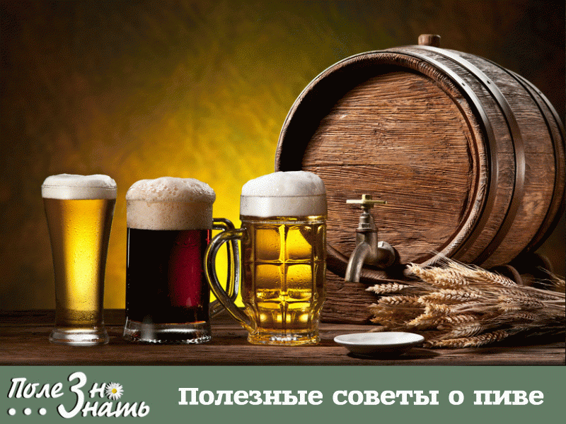 Советы по нетрадиционному использованию пива     
Хозяйке на заметку: полезные советы, которые пригодятся
После посиделок с друзьями осталось немного пивка? Стоп! Не спешите избавляться от него! Оно может пригодиться в хозяйстве, в кулинарии, в косметологии и для здоровья. Надеюсь, что следующие советы вам пригодятся.
Помощь домашним растениям
Выдохшимся пивом, которое какое-то время стояло в открытом виде, можно удобрять комнатные растения. Раз в неделю можно добавить в цветочный горшо