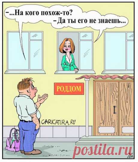 Немного ошарашенный | Смехопанорама