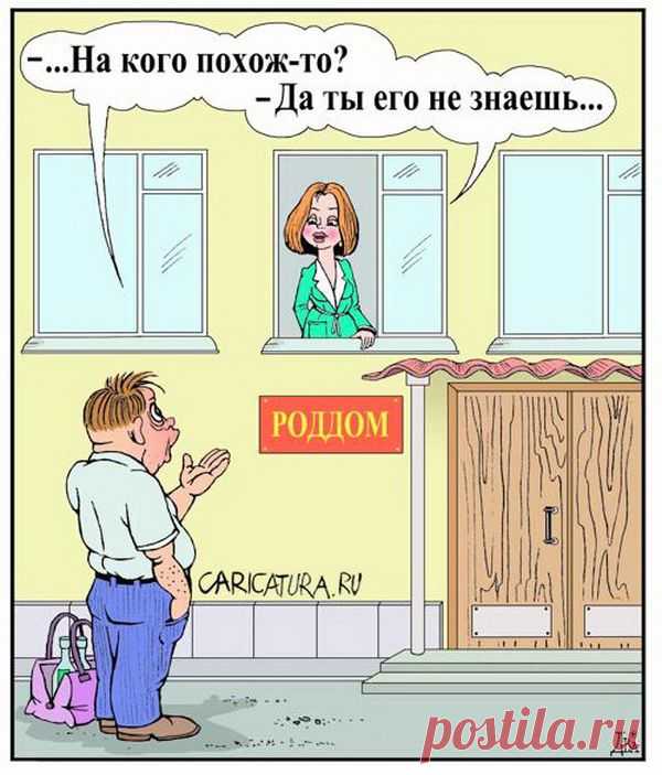 Немного ошарашенный | Смехопанорама