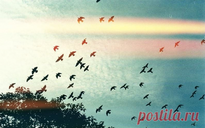 Очень сильные строки! Обязательно прочтите, особенно если у Вас сейчас проблемы - У нас так