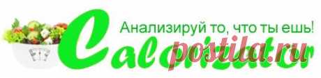 Анализатор параметров тела - www.calorizator.ru