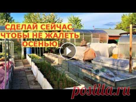 Как мы избавились от вредителей в огороде Борьба с вредителями, как избавится от вредителей в саду без химии. Обработки от вредителей или предотвращение их появления на грядках? Помощь каналу,...