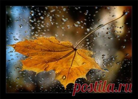 Заплакала осень холодным дождем.....